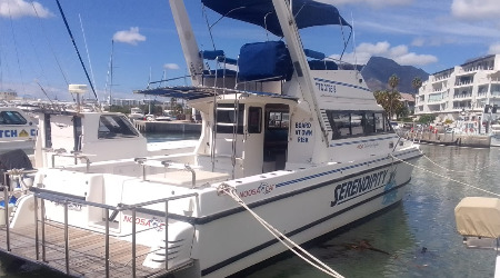 Cape Town Fishing Charters